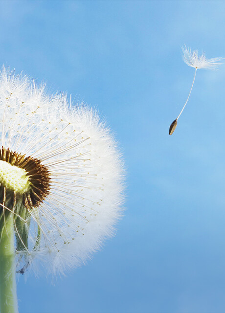 我們的產(chǎn)品品質(zhì)